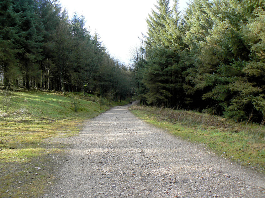 Macclesfield Forest Macclesfield Forest